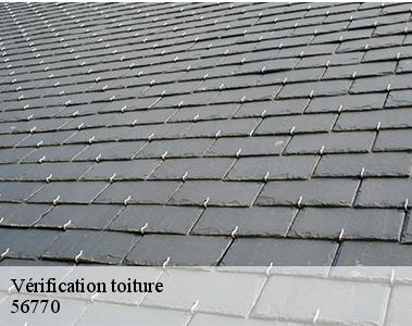 Vérification toiture -2