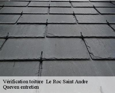 Vérification toiture -4