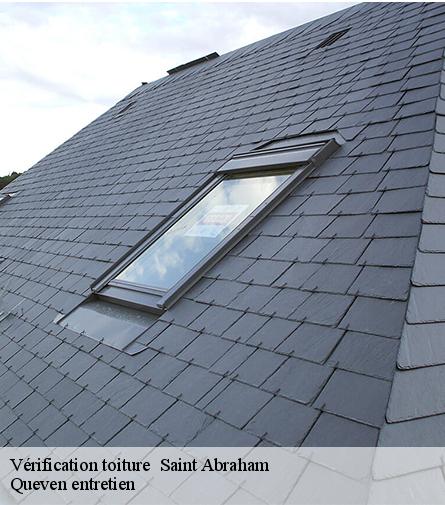 Vérification toiture -1