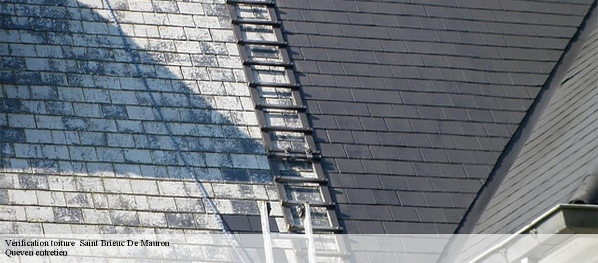 Vérification toiture -7
