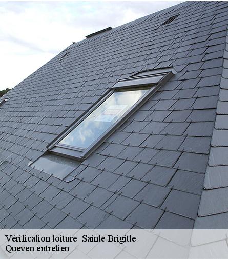 Vérification toiture -1