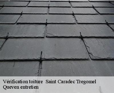 Vérification toiture -4