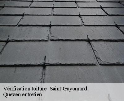 Vérification toiture -4