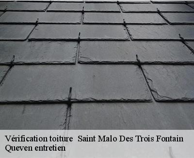 Vérification toiture -4