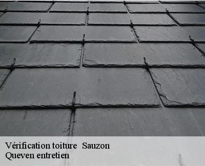 Vérification toiture -4