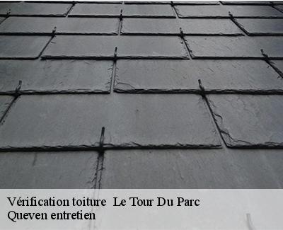 Vérification toiture -4