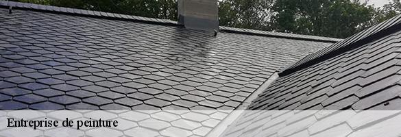 Entreprise de peinture-6