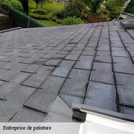 Entreprise de peinture-3