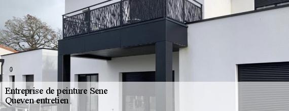 Entreprise de peinture  sene-56860 Queven entretien