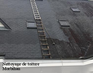 Nettoyage de toiture-2