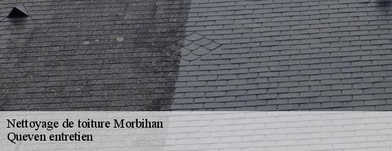 Nettoyage de toiture 56 Morbihan  Queven entretien