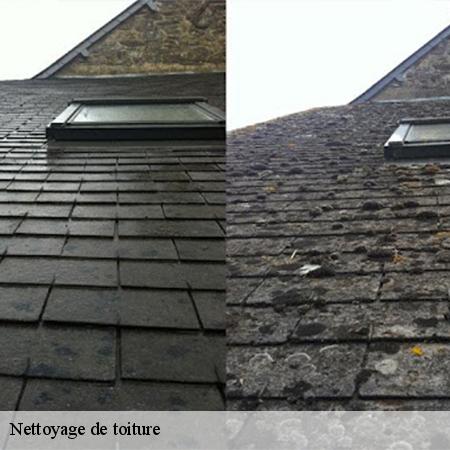 Nettoyage de toiture-3