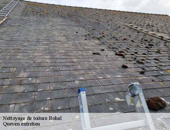 Nettoyage de toiture  bohal-56140 Queven entretien