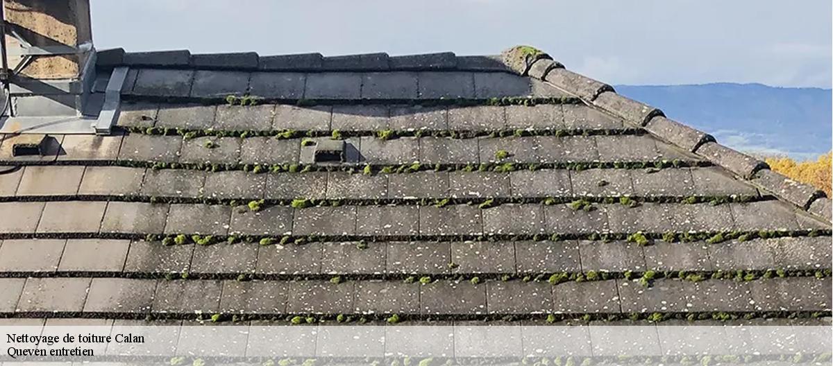 Nettoyage de toiture-7