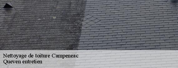 Nettoyage de toiture  campeneac-56800 Queven entretien