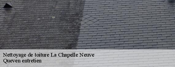 Nettoyage de toiture  la-chapelle-neuve-56500 Queven entretien