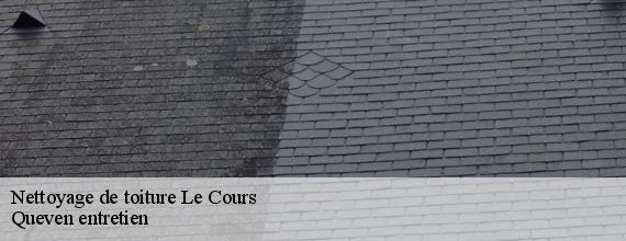 Nettoyage de toiture  le-cours-56230 Queven entretien