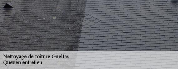 Nettoyage de toiture  gueltas-56920 Queven entretien