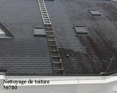 Nettoyage de toiture-2