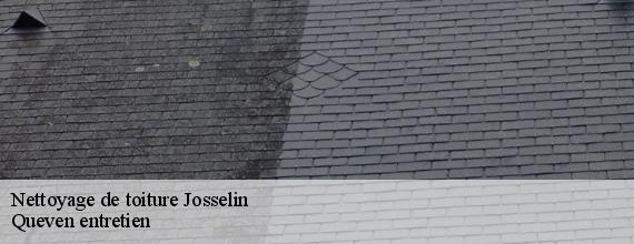 Nettoyage de toiture  josselin-56120 Queven entretien