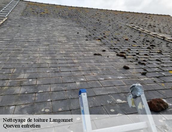Nettoyage de toiture  langonnet-56630 Queven entretien
