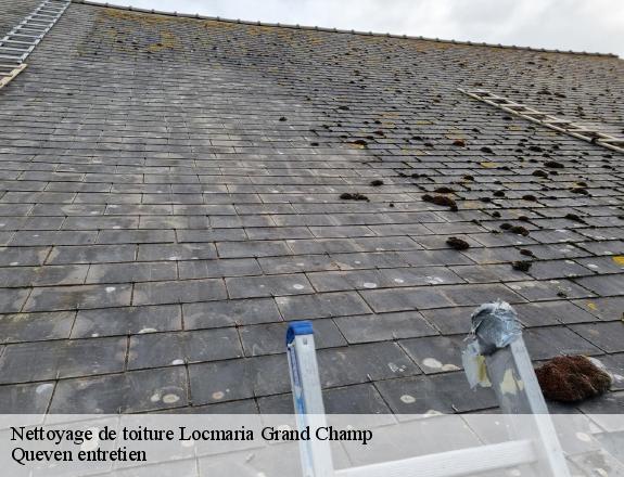 Nettoyage de toiture  locmaria-grand-champ-56390 Queven entretien