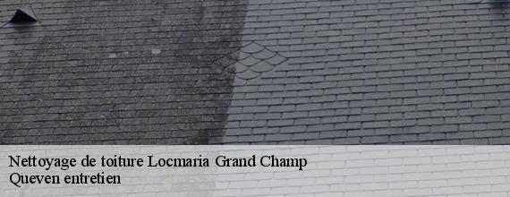 Nettoyage de toiture  locmaria-grand-champ-56390 Queven entretien