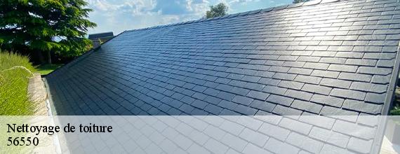 Nettoyage de toiture  locoal-mendon-56550 Queven entretien