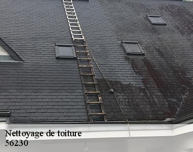 Nettoyage de toiture-2