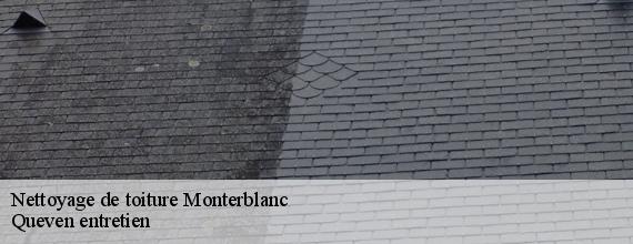 Nettoyage de toiture  monterblanc-56250 Queven entretien