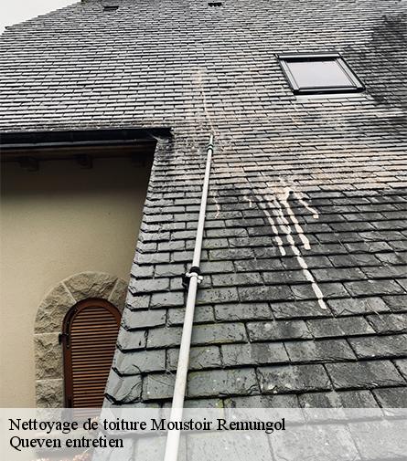 Nettoyage de toiture-1