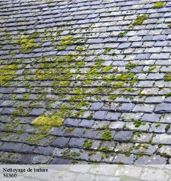 Nettoyage de toiture-8