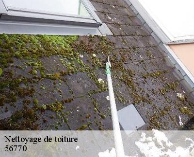 Nettoyage de toiture-5