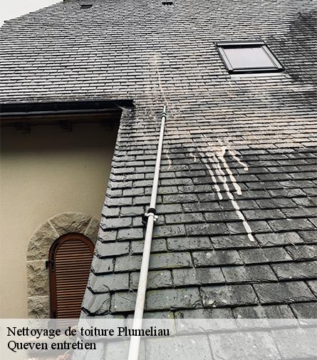 Nettoyage de toiture-1