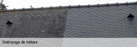 Nettoyage de toiture-6