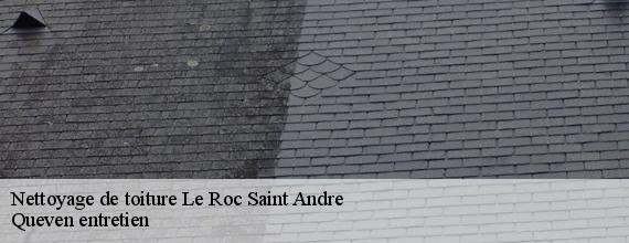 Nettoyage de toiture  le-roc-saint-andre-56460 Queven entretien