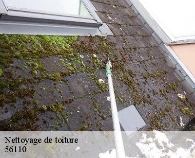 Nettoyage de toiture-5