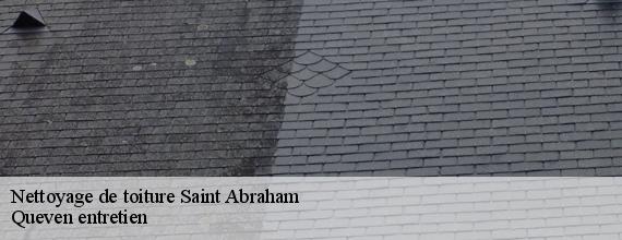Nettoyage de toiture  saint-abraham-56140 Queven entretien
