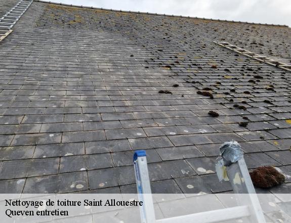 Nettoyage de toiture  saint-allouestre-56500 Queven entretien