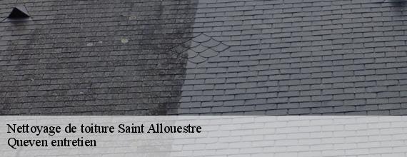 Nettoyage de toiture  saint-allouestre-56500 Queven entretien