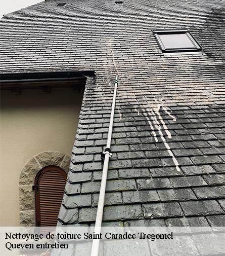 Nettoyage de toiture-1