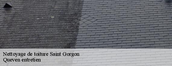 Nettoyage de toiture  saint-gorgon-56350 Queven entretien