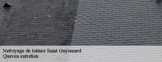 Nettoyage de toiture  saint-guyomard-56460 Queven entretien