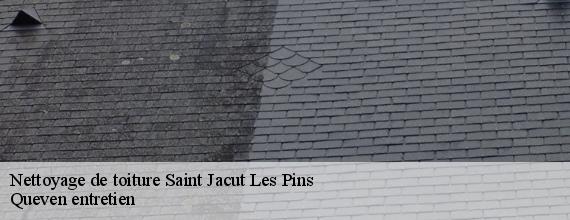 Nettoyage de toiture  saint-jacut-les-pins-56220 Queven entretien