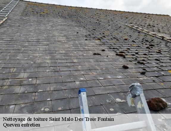 Nettoyage de toiture  saint-malo-des-trois-fontain-56490 Queven entretien