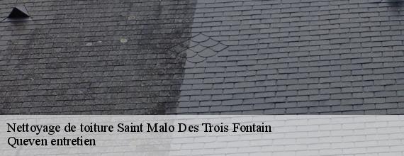 Nettoyage de toiture  saint-malo-des-trois-fontain-56490 Queven entretien