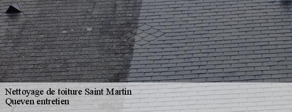Nettoyage de toiture  saint-martin-56200 Queven entretien