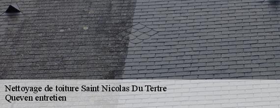 Nettoyage de toiture  saint-nicolas-du-tertre-56910 Queven entretien