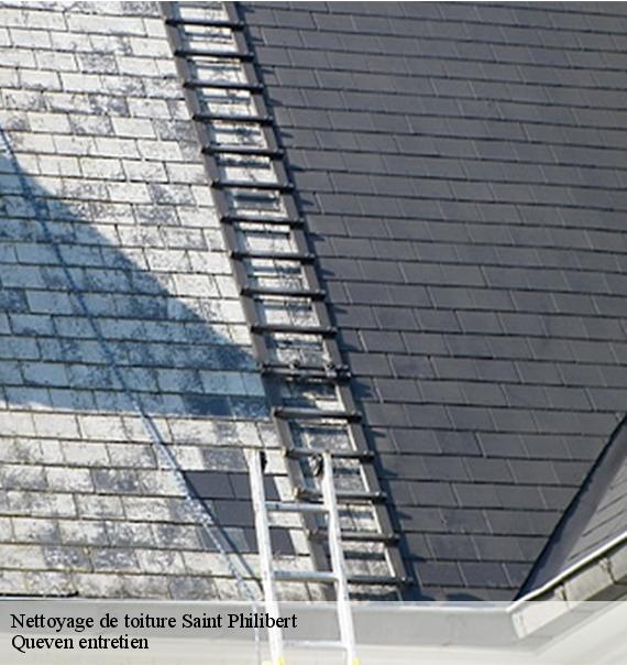 Nettoyage de toiture-10