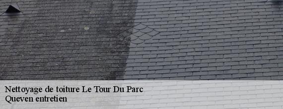 Nettoyage de toiture  le-tour-du-parc-56370 Queven entretien